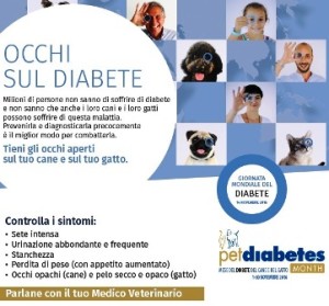 diabete-2016